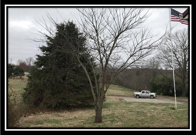 1835 Orpheus Road Thurman, OH 45685 - Photo 7 of 79