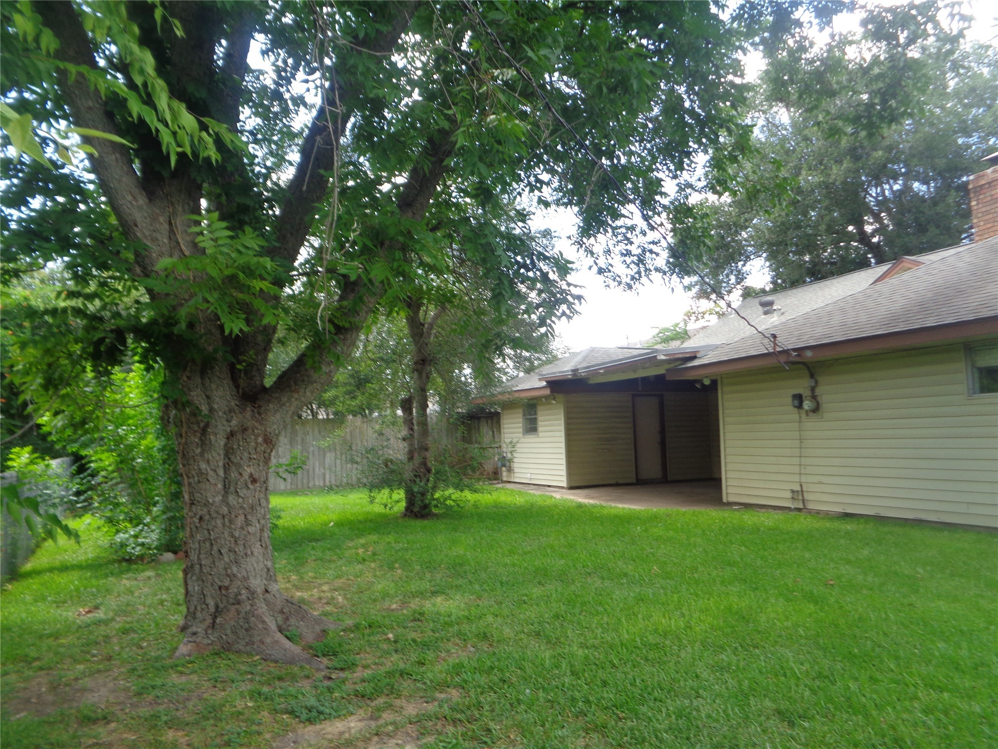 11215 Mayfield Road Houston, TX 77043 - Photo 2 of 16 a backyard of a house with plants and large tree