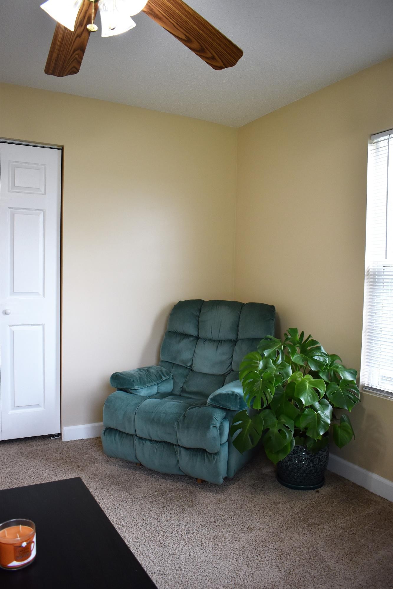 5124 Morganton Road Greenback, TN 37742 - Photo 21 of 23 a living room with furniture and a potted plant