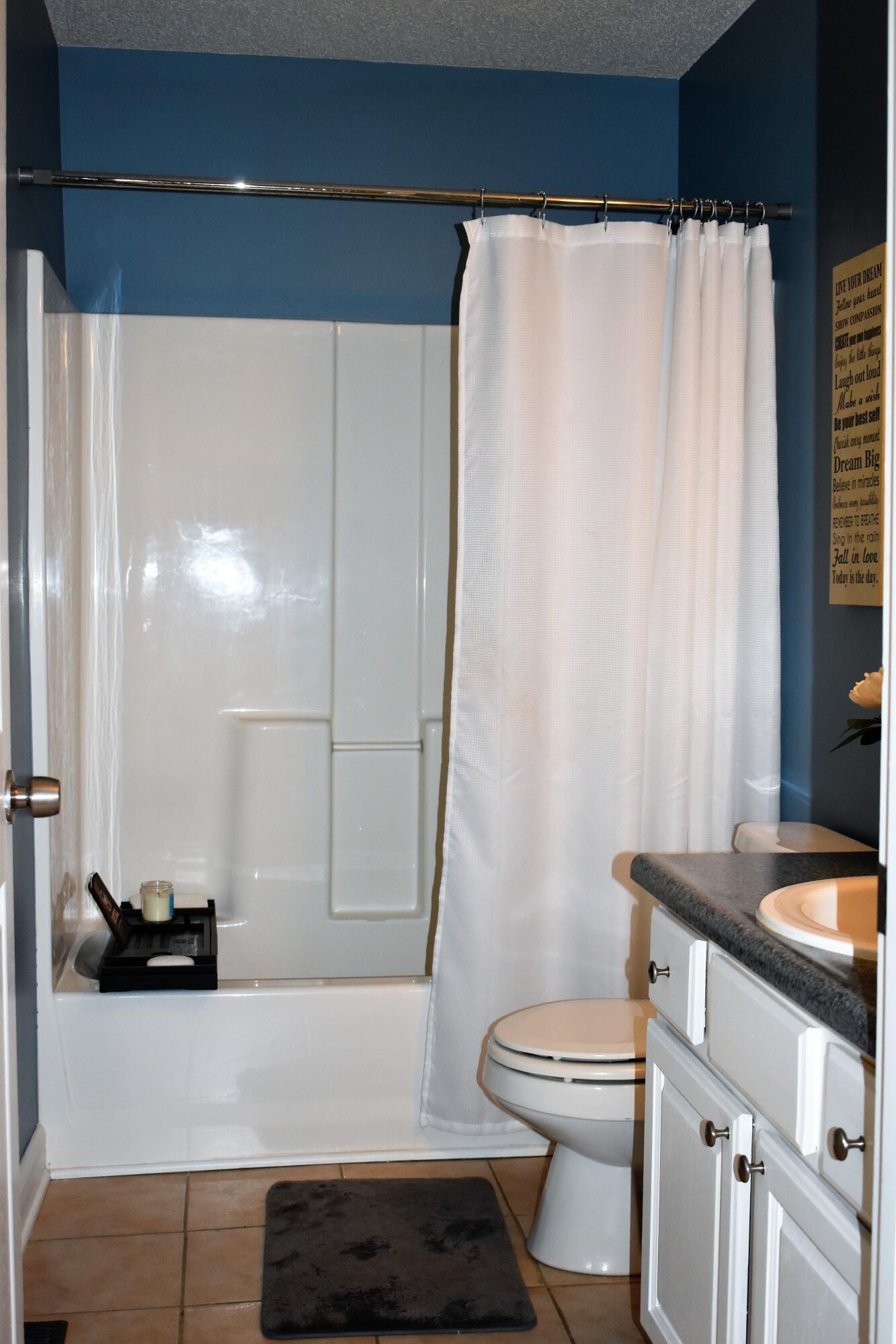 5124 Morganton Road Greenback, TN 37742 - Photo 22 of 23 a bathroom with a sink and a mirror