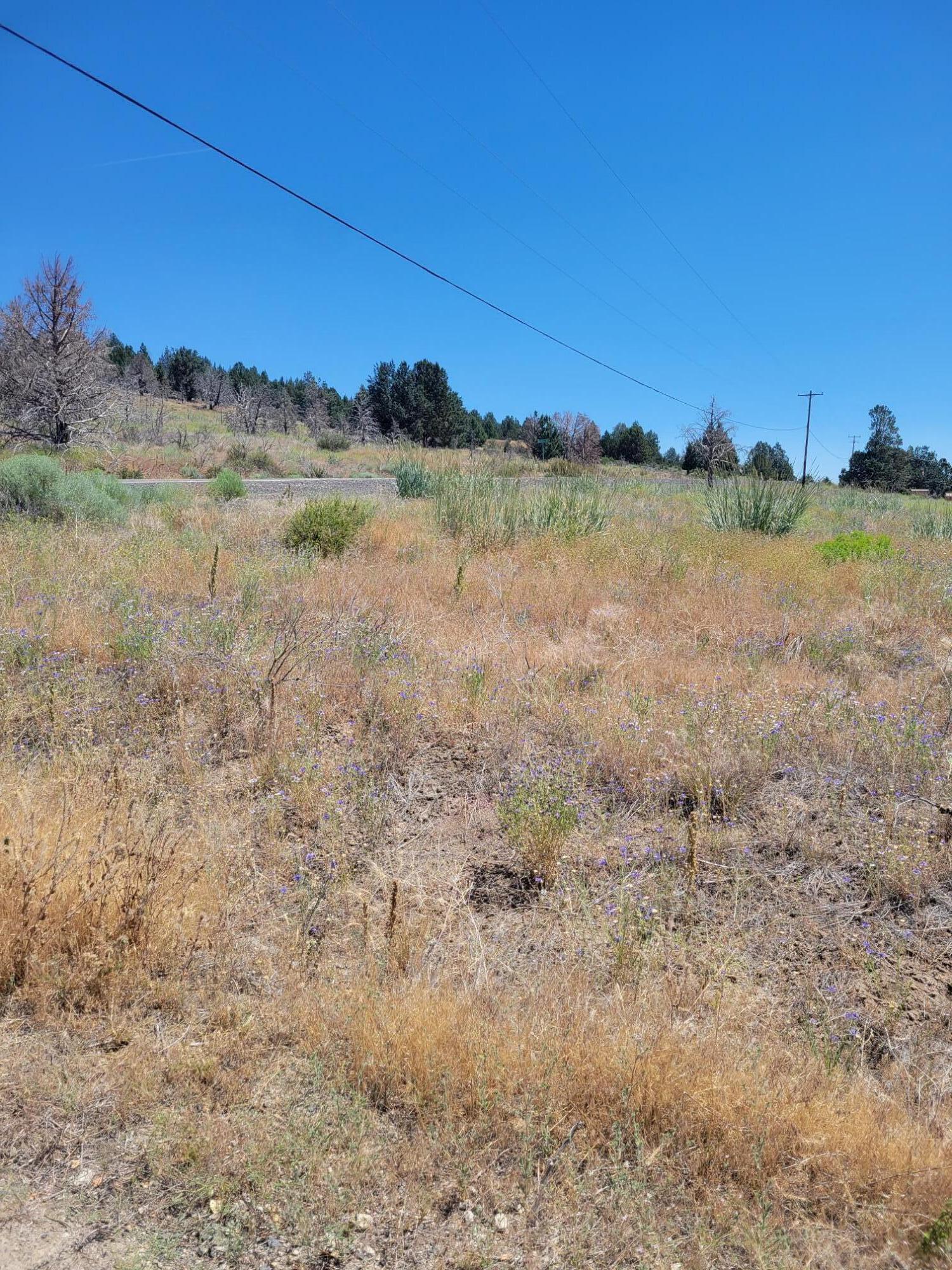 Drews Ranch Road Chiloquin, OR 97624 - Photo 2 of 3 20230716_121119