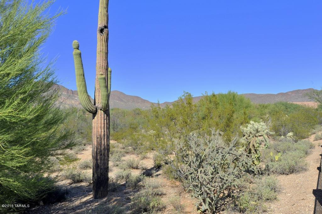 3686 South Desert Promenade Road Tucson, AZ 85735 - Photo 8 of 32 Gallery Image 8