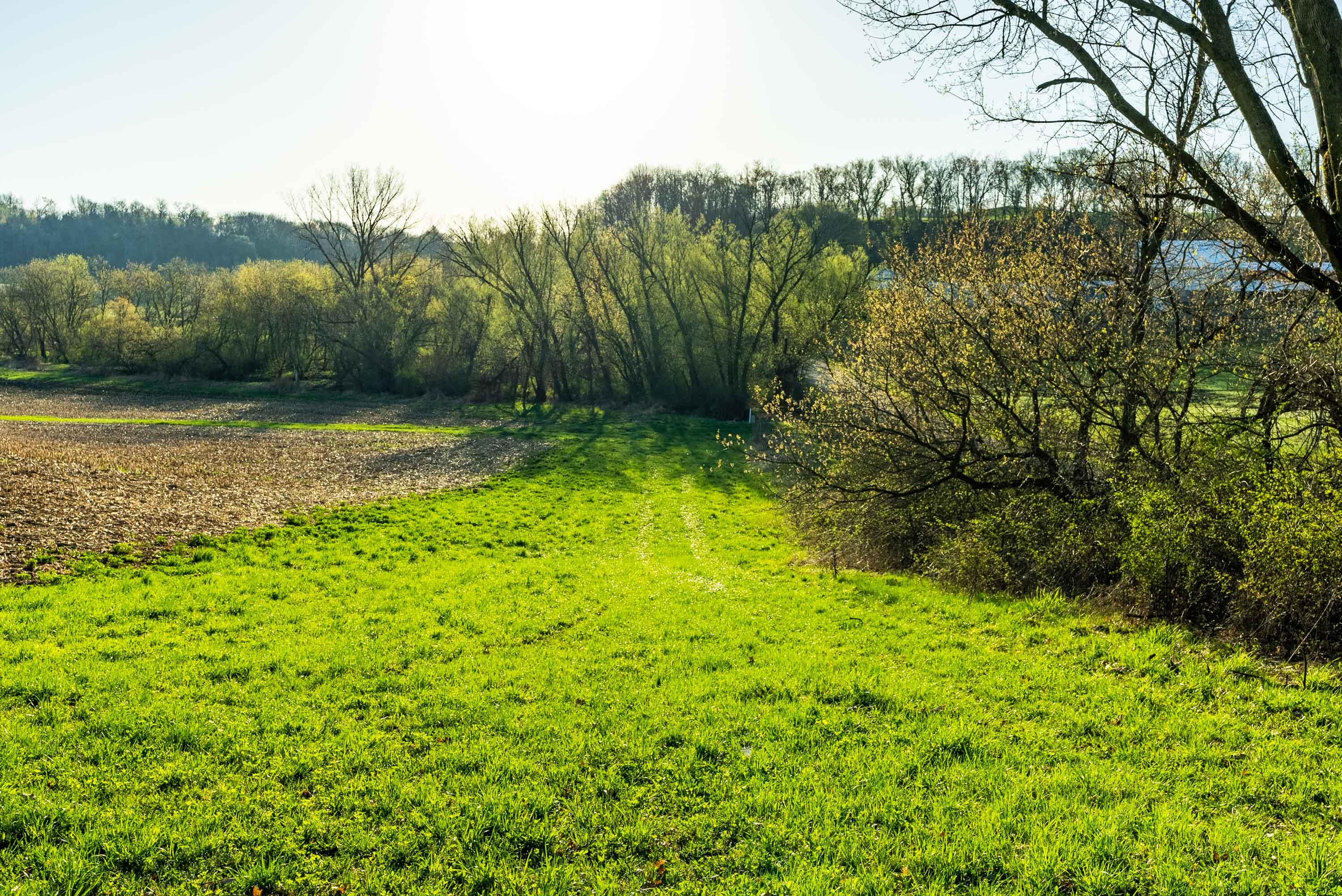 Lt0 Eli Valley Road Hillpoint, WI 53937 - Photo 11 of 29 Sauk-County-WI-17-Acres-Land-For-Sale-11