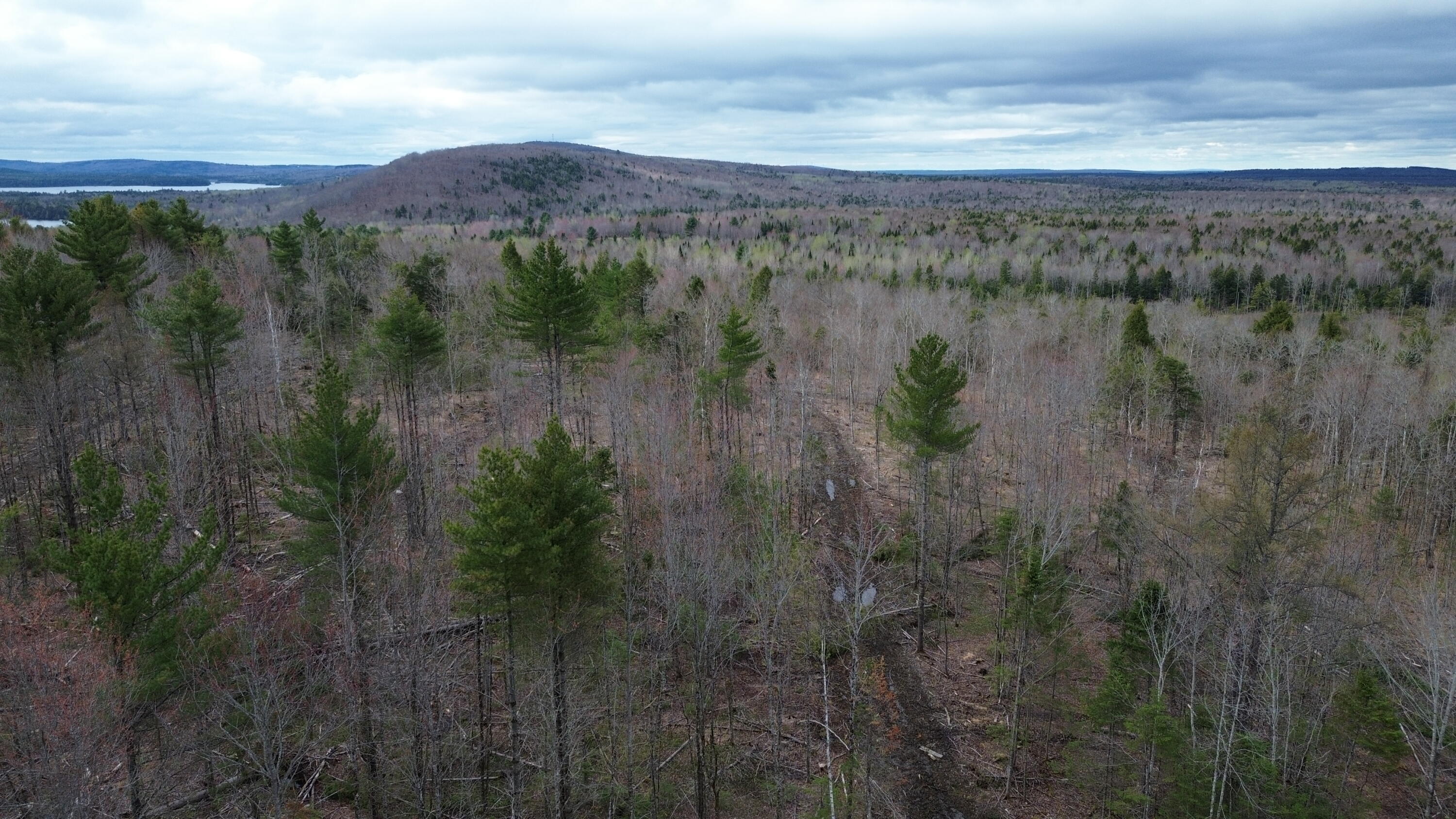 3 L13/6 Road Orient, ME 04471 - Photo 6 of 12