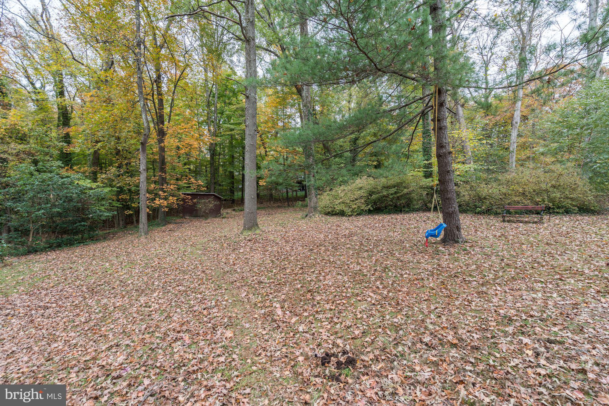 7204 Beechwood Road Alexandria, VA 22307 - Photo 35 of 39