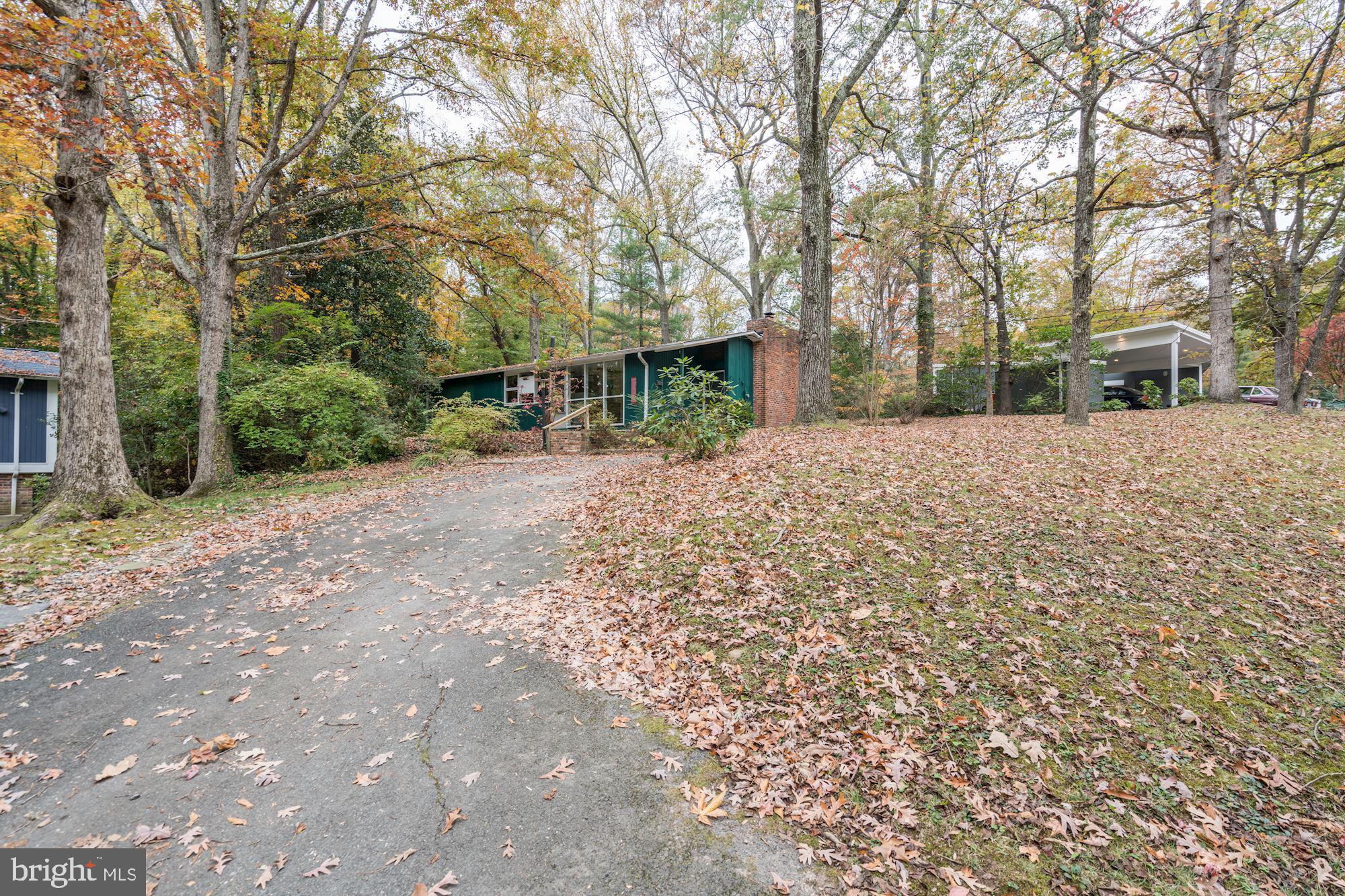7204 Beechwood Road Alexandria, VA 22307 - Photo 39 of 39