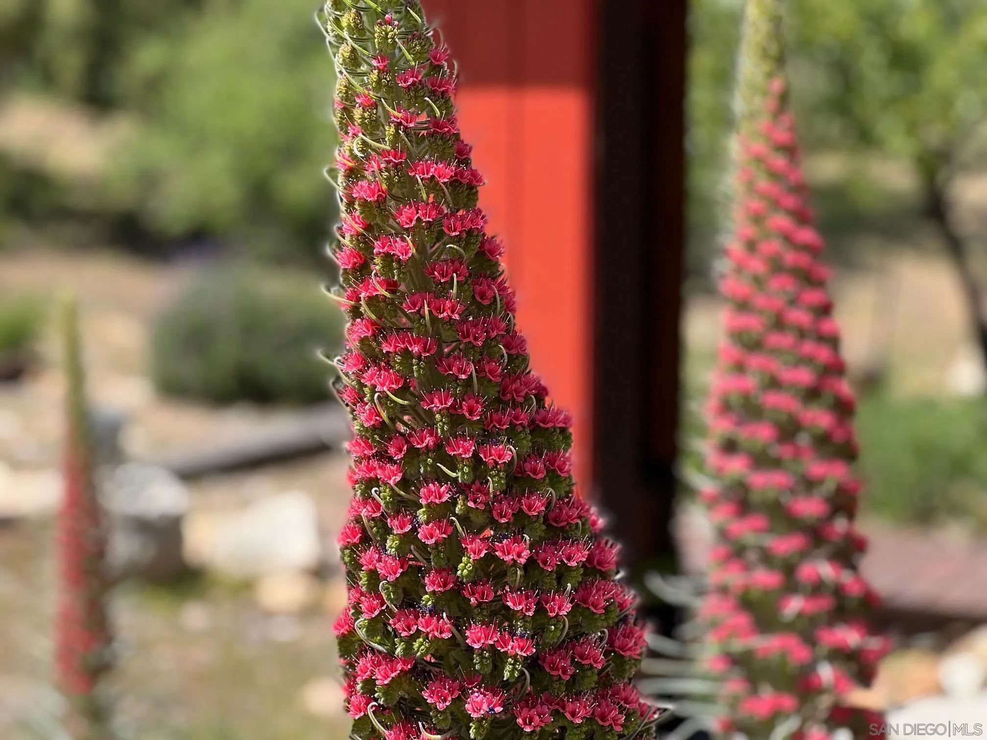 6191 Red Hawk Ridge Alpine, CA 91901 - Photo 58 of 70