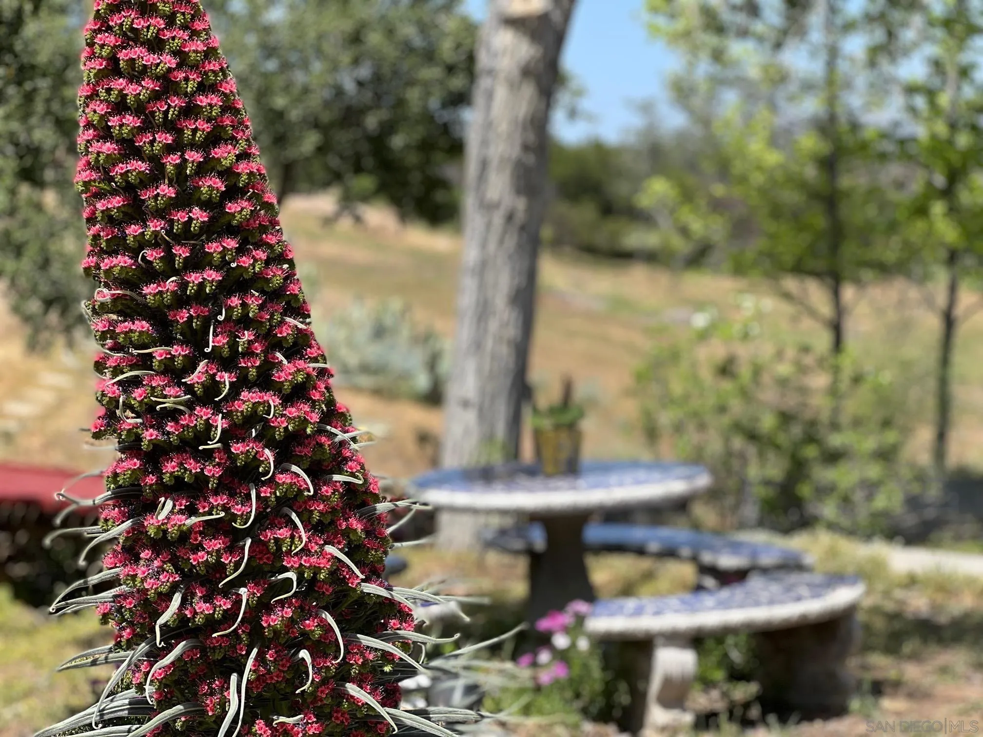 6191 Red Hawk Ridge Alpine, CA 91901 - Photo 61 of 70