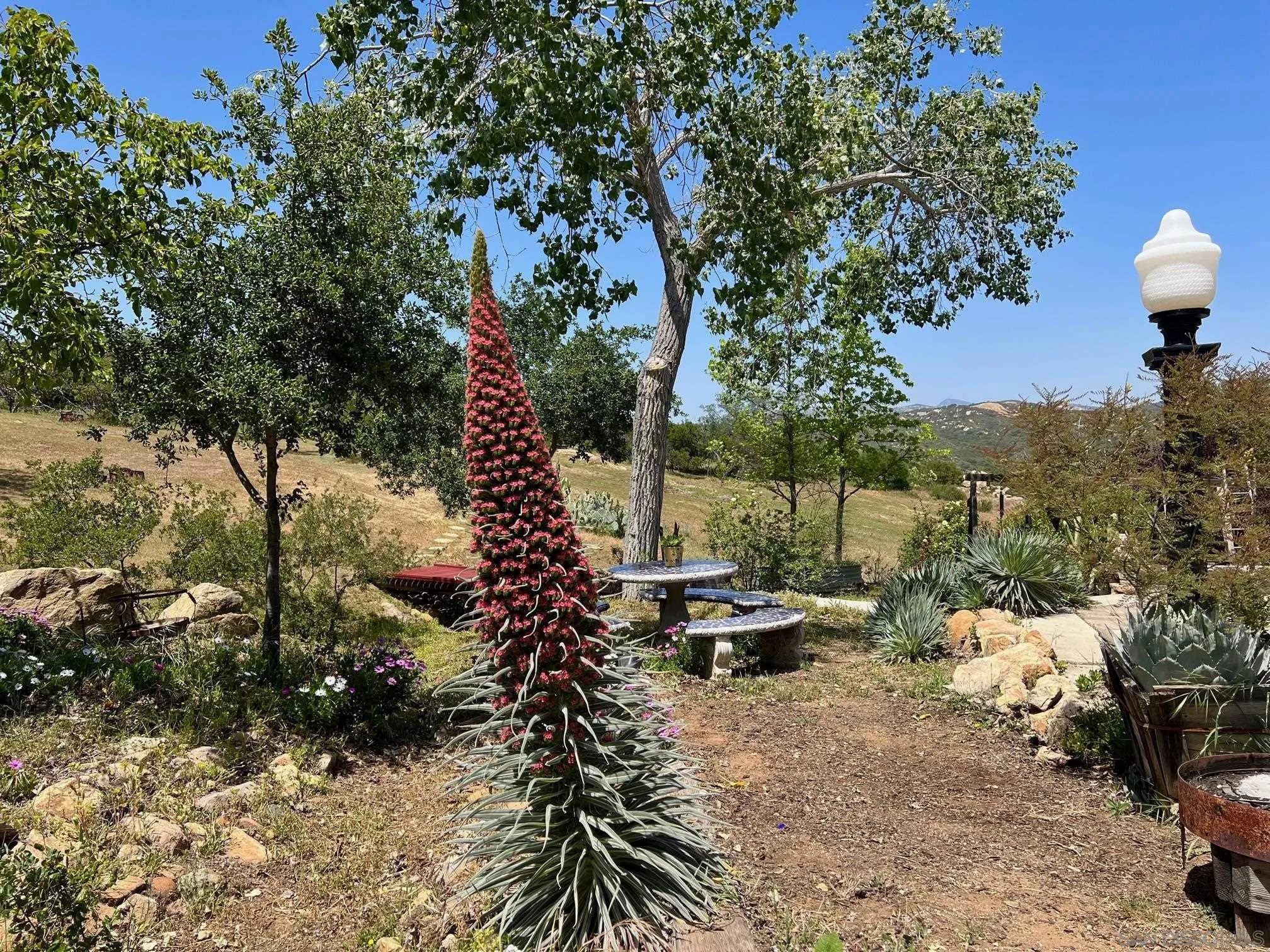 6191 Red Hawk Ridge Alpine, CA 91901 - Photo 62 of 70 a view of swimming pool with lawn chairs and a fire pit