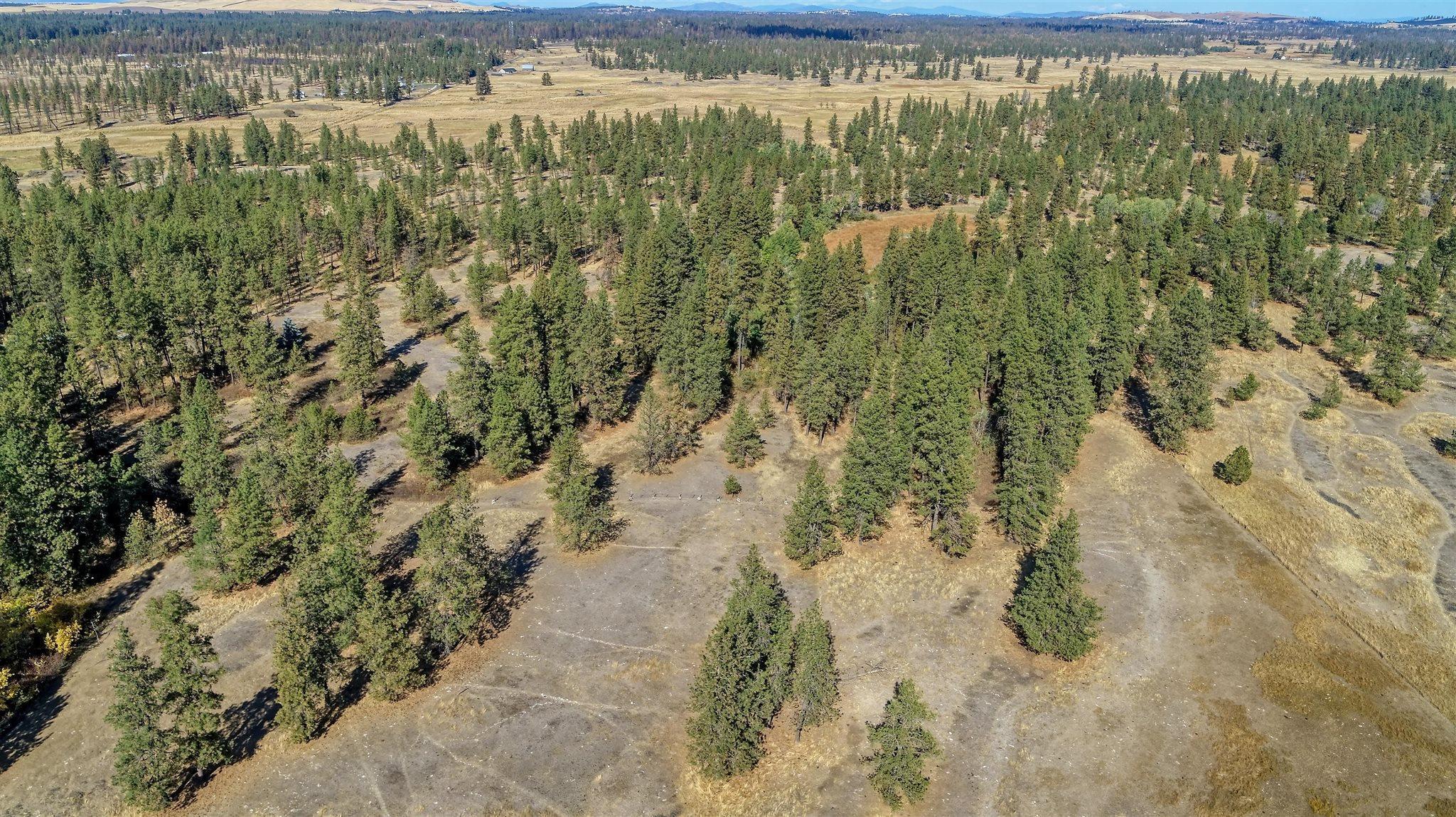 20112 West Baker Road Cheney, WA 99004 - Photo 17 of 19