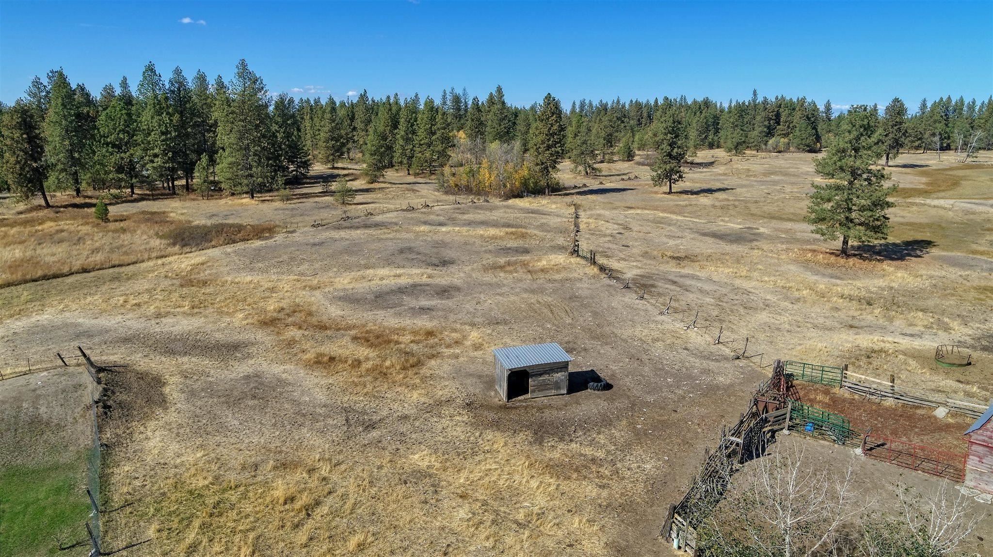 20112 West Baker Road Cheney, WA 99004 - Photo 5 of 19