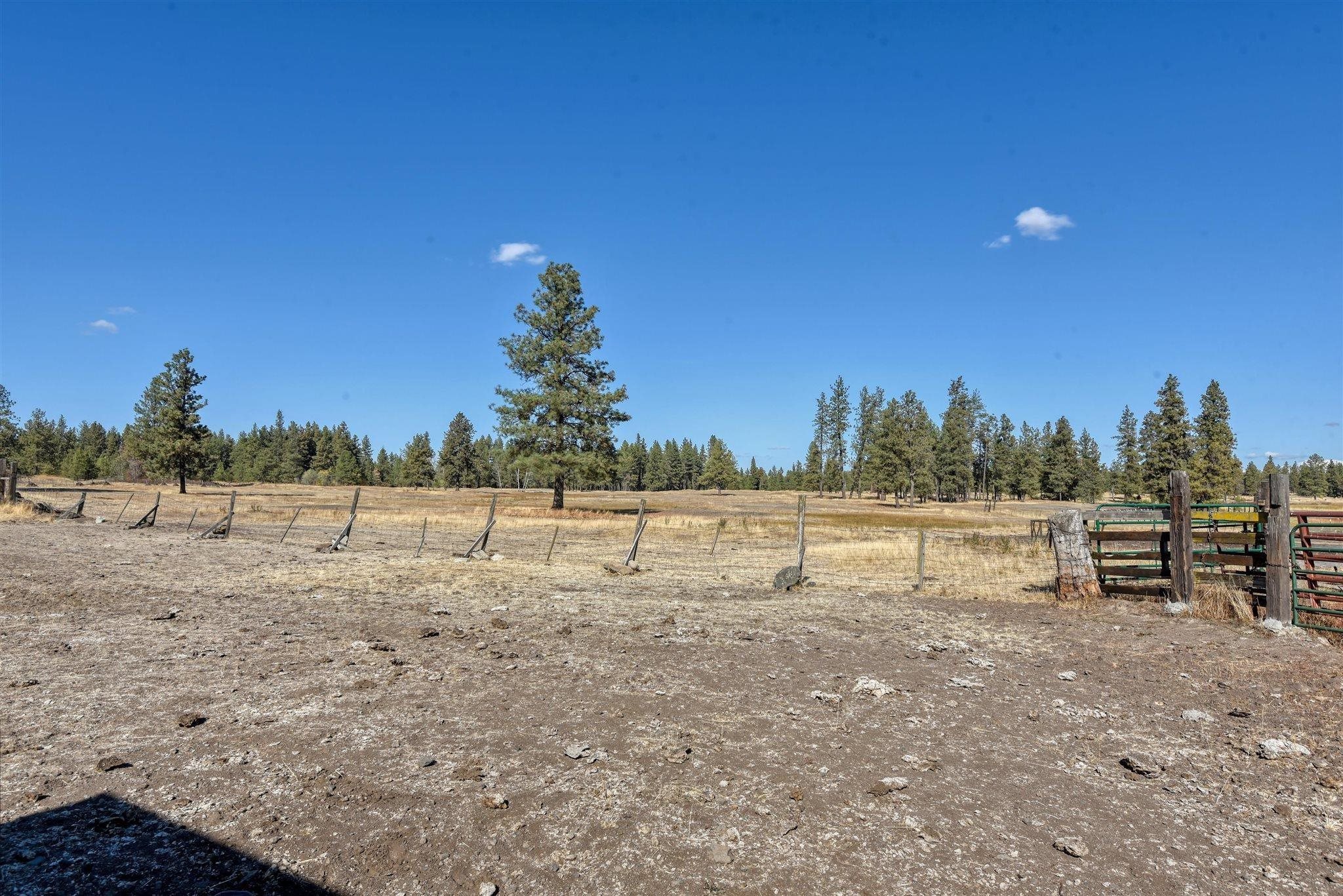 20112 West Baker Road Cheney, WA 99004 - Photo 6 of 19