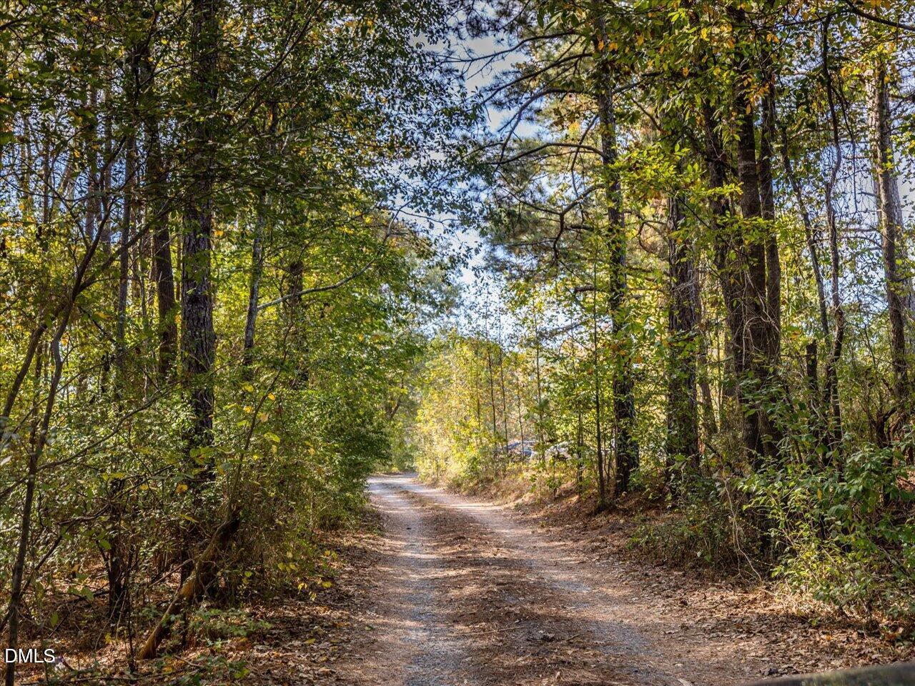 465 Wimberly Road Moncure, NC 27559 - Photo 12 of 13 a view of a yard with large trees
