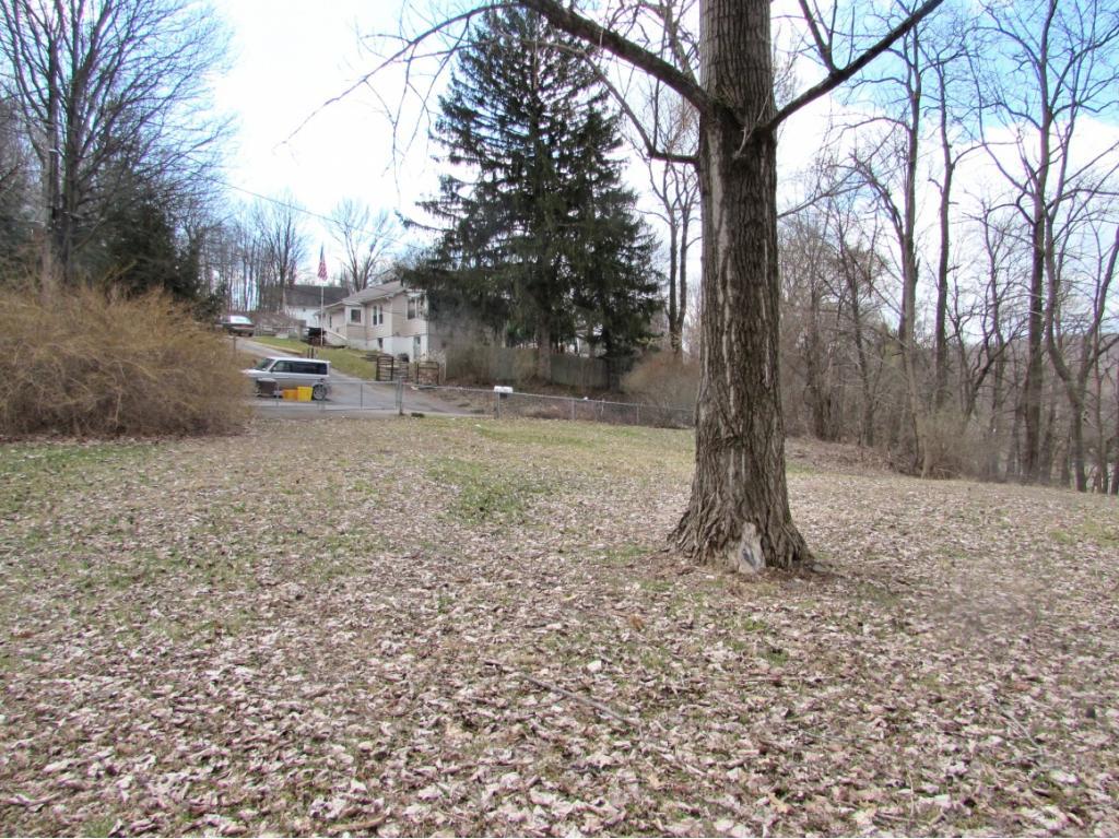 91 Decatur Street Binghamton, NY 13903 - Photo 19 of 20 Gallery Image 19