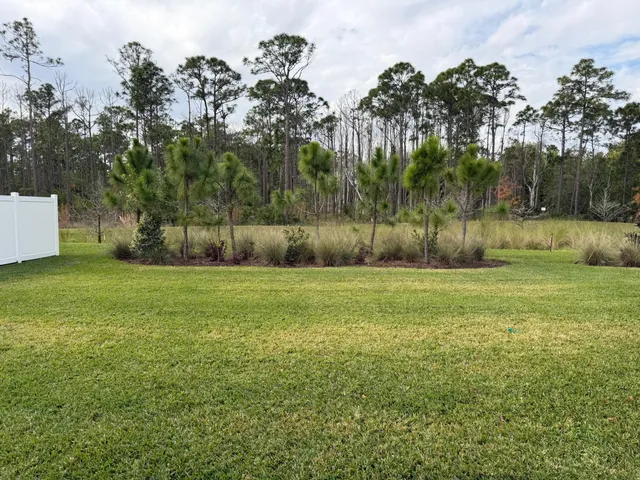 a view of a backyard