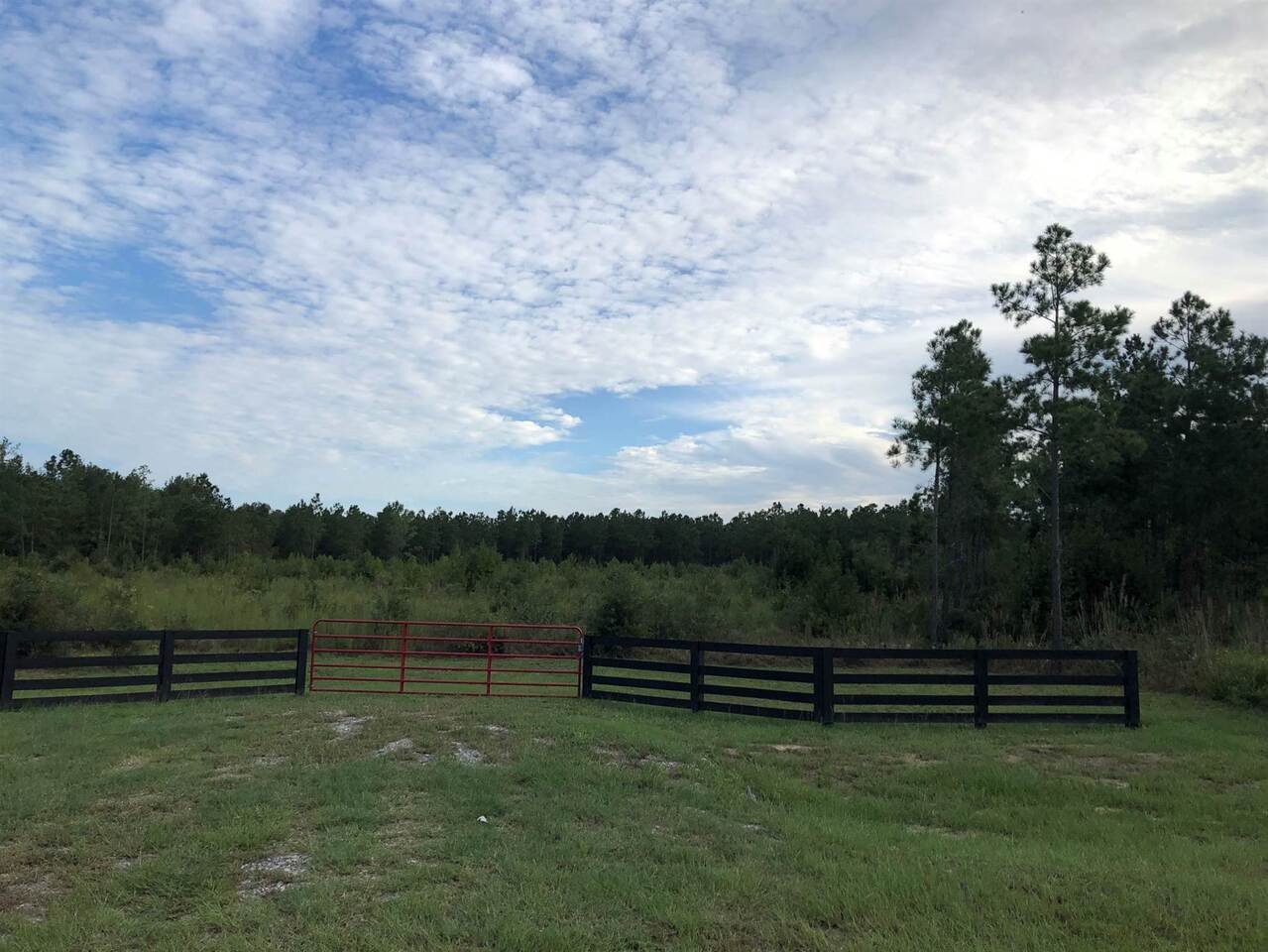 0 Springhaven Road Dexter, GA 31019 - Photo 1 of 1 Gallery Image 1