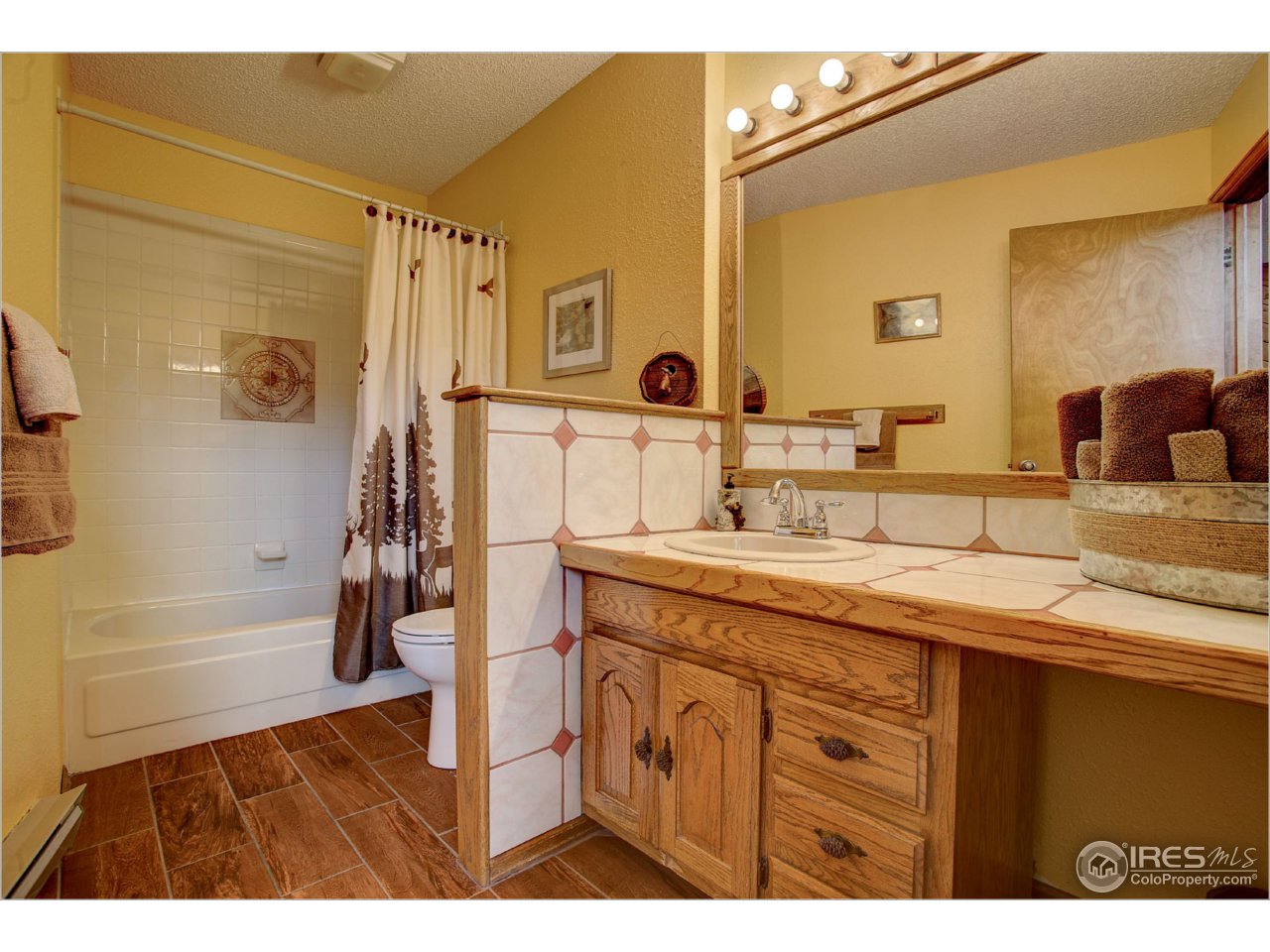 1146 Kiowa Road Lyons, CO 80540 - Photo 14 of 33 Main floor bath