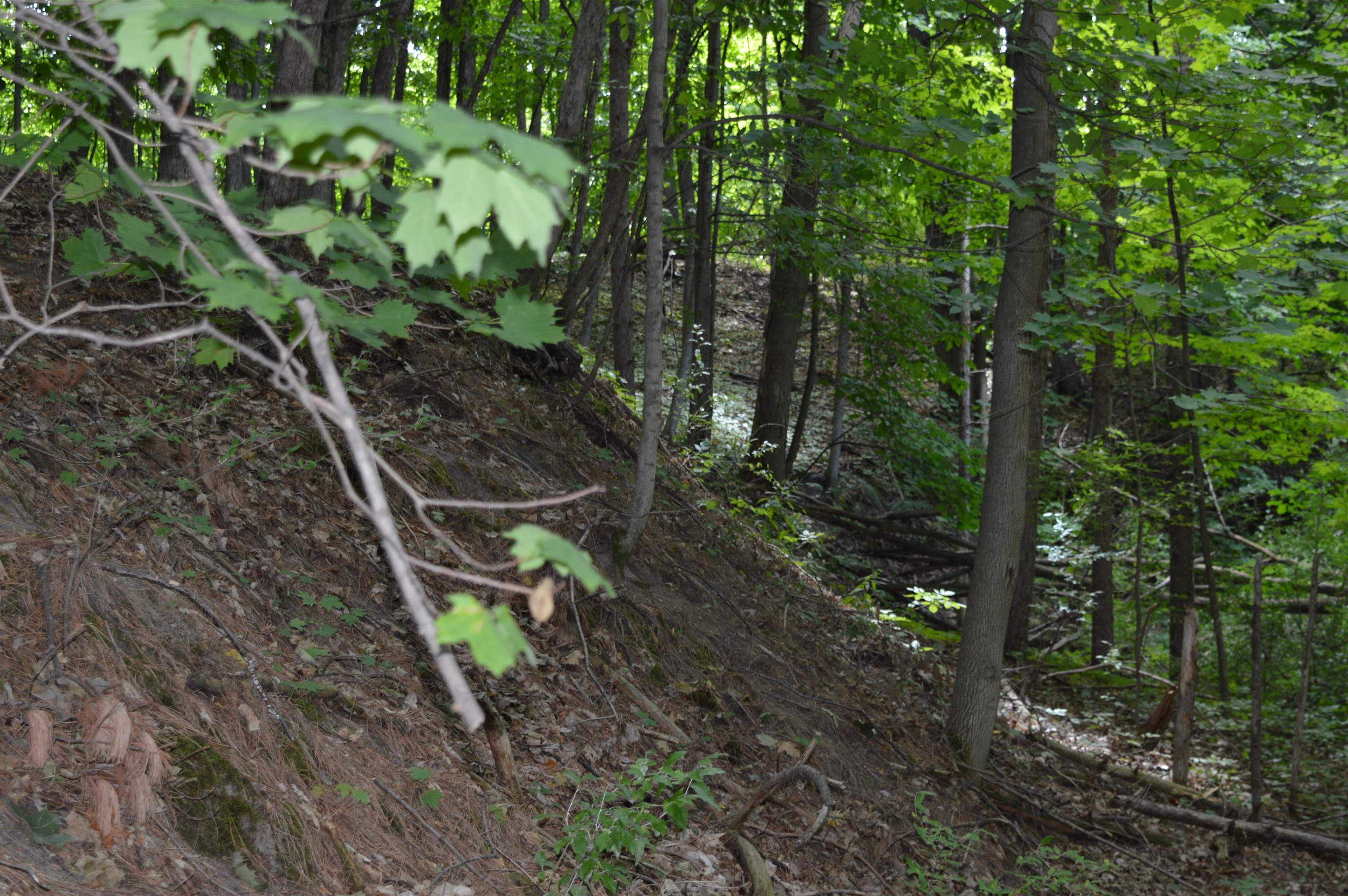 Zimmerman Rd Rapid Rapid City, MI 49676 - Photo 14 of 16