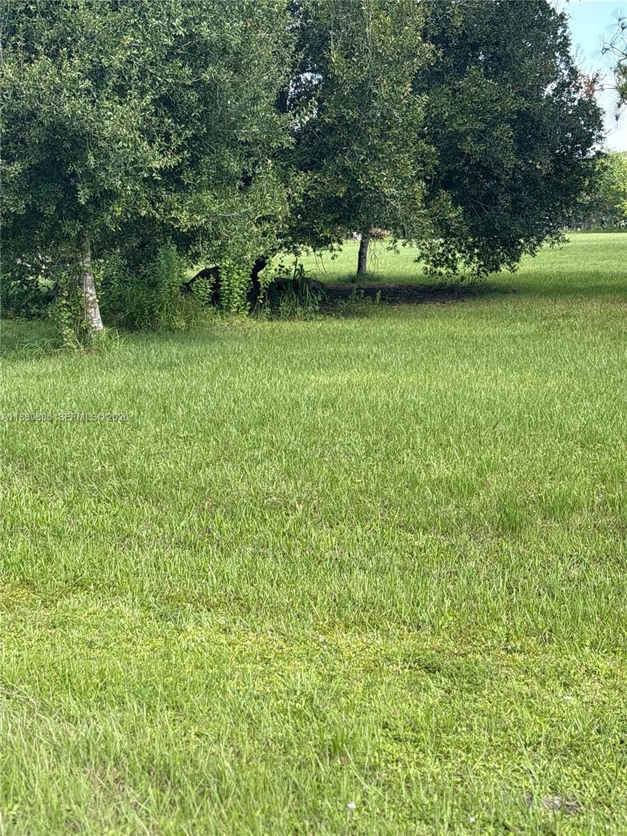 357 Horse Club Avenue Clewiston, FL 33440 - Photo 14 of 17