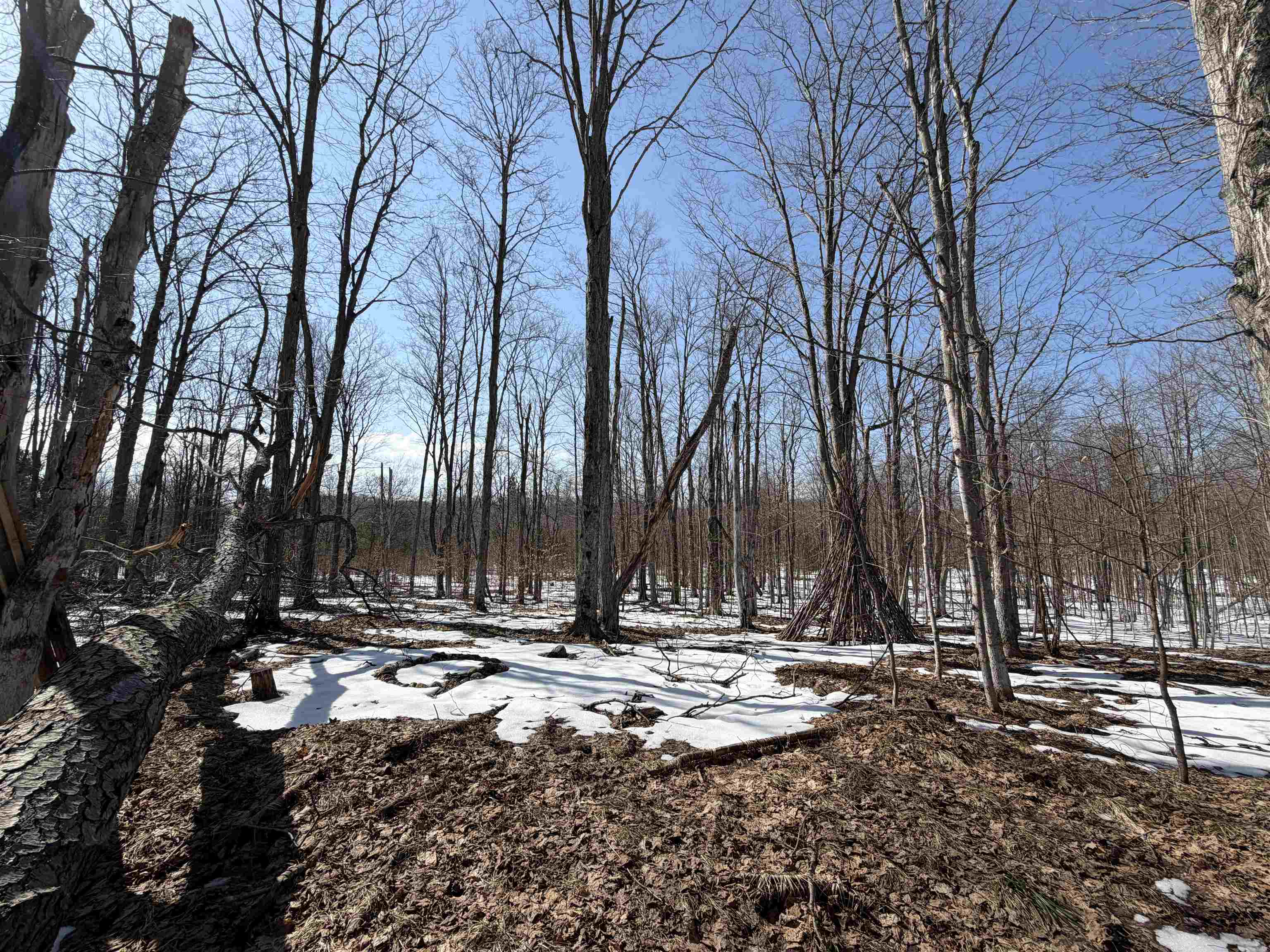 South Drew Road Empire, MI 49630 - Photo 10 of 28 Gallery Image 10