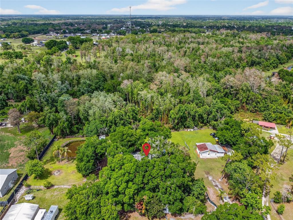 4445 Mildred Bass Road St. Cloud, FL 34772 - Photo 53 of 59