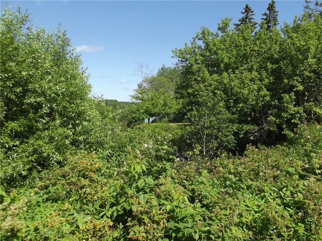 62 Hartsneck Road Tenants Harbor, ME 04860 - Photo 4 of 25 Photo