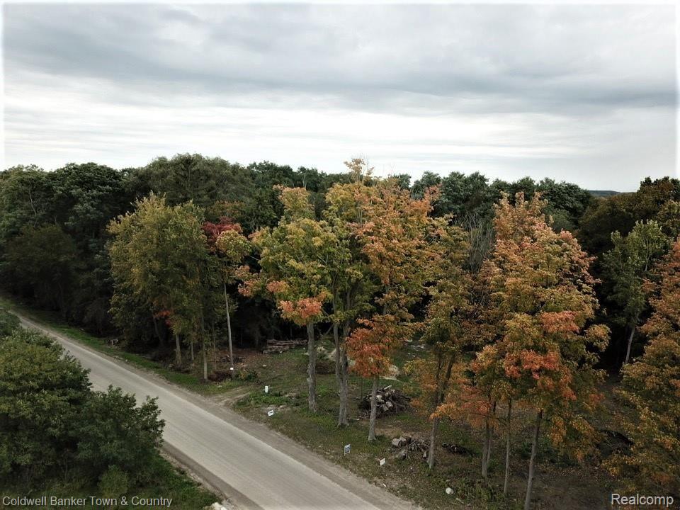 0 Mcclements Road Brighton, MI 48114 - Photo 1 of 17