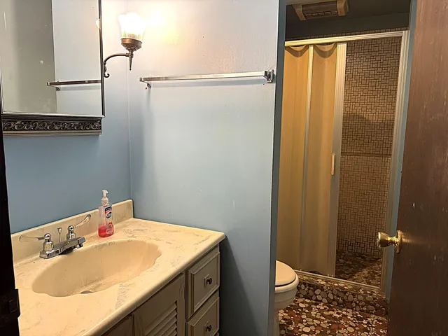a bathroom with a sink and a toilet