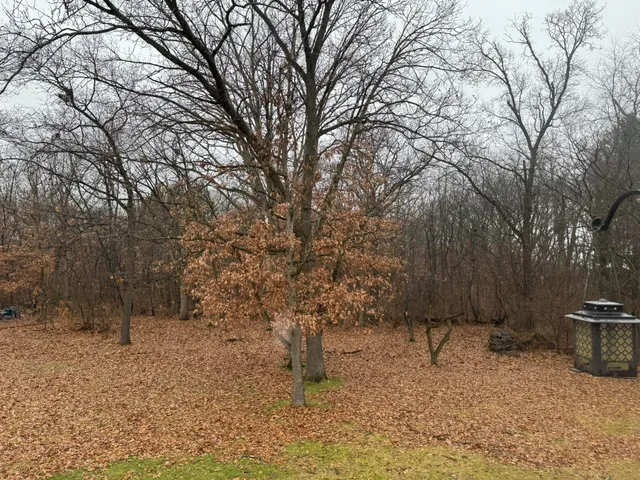 a view of a outdoor space