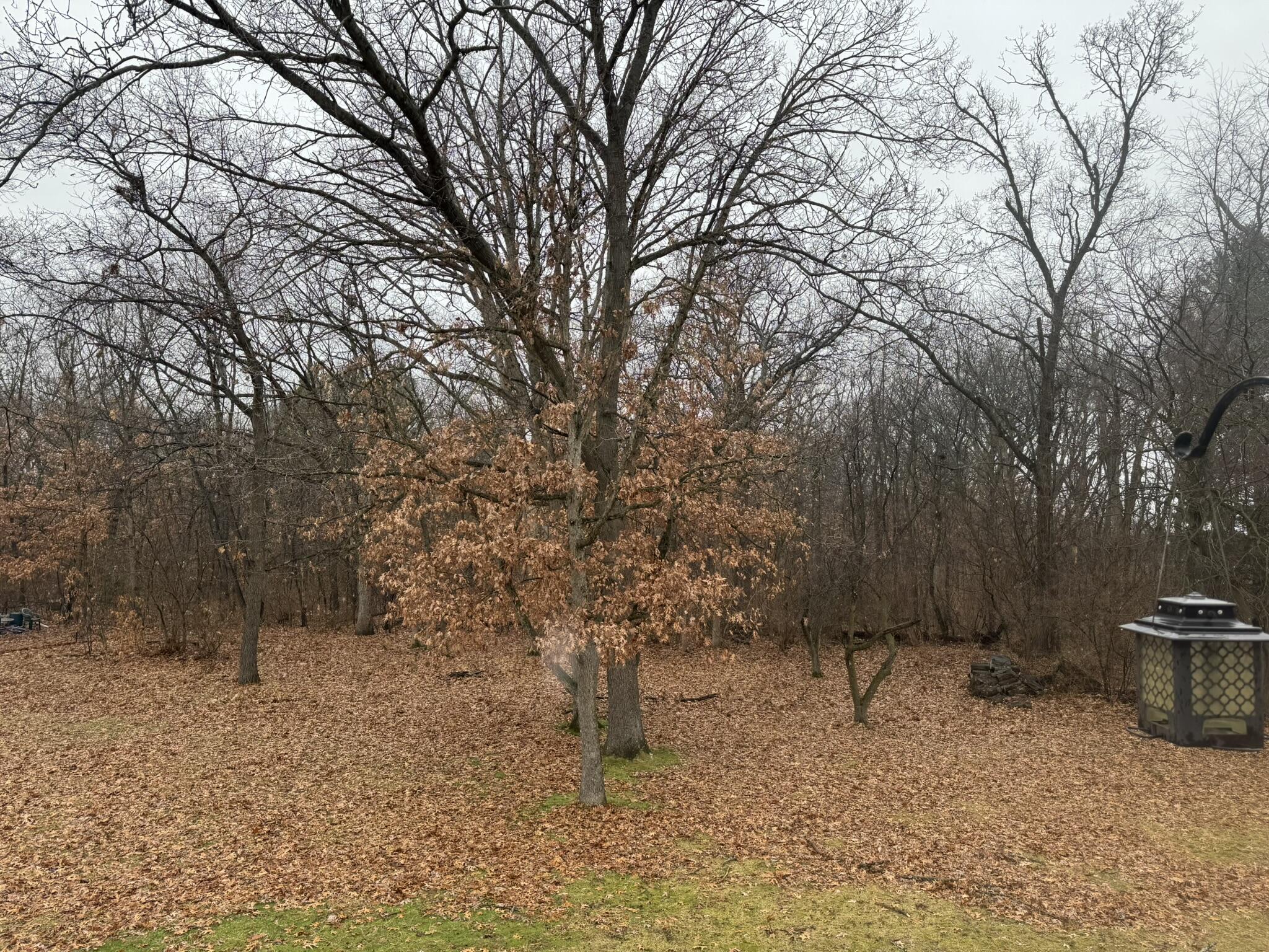 11108 North 550 East Demotte, IN 46310 - Photo 6 of 42 a view of a outdoor space