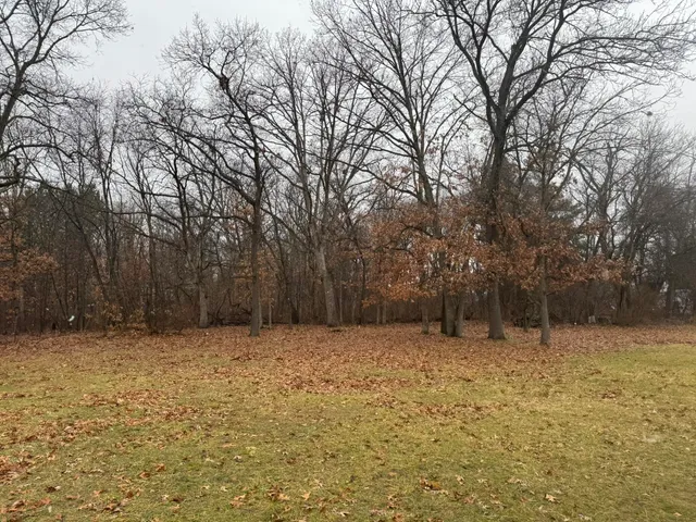 a view of outdoor space with trees