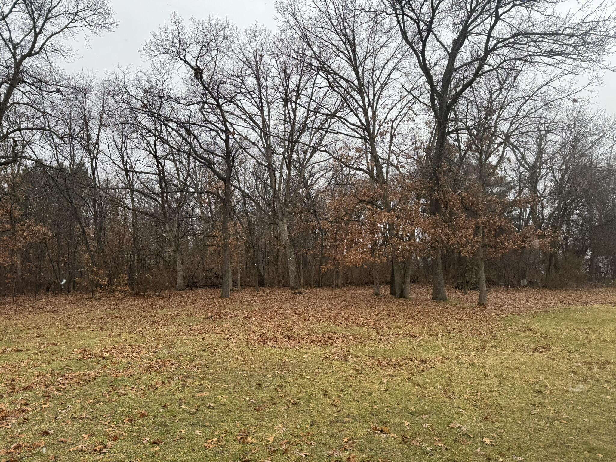 11108 North 550 East Demotte, IN 46310 - Photo 8 of 42 a view of outdoor space with trees