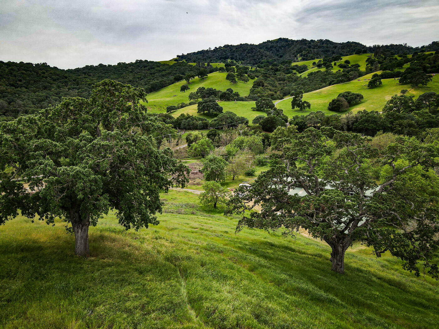 6115 Morgan Territory Road Clayton, CA 94517 - Photo 36 of 76 Morgan Territory Rd (36)