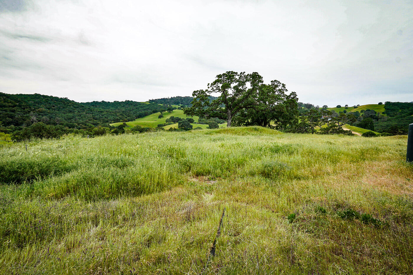 6115 Morgan Territory Road Clayton, CA 94517 - Photo 38 of 76 Morgan Territory Rd (38)