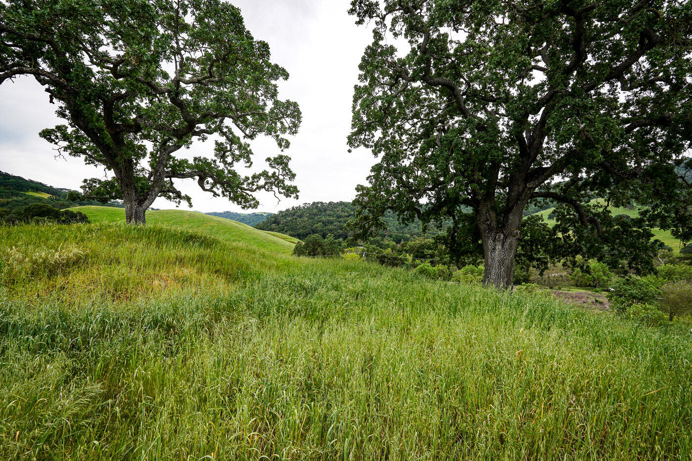 6115 Morgan Territory Road Clayton, CA 94517 - Photo 39 of 76 Morgan Territory Rd (39)