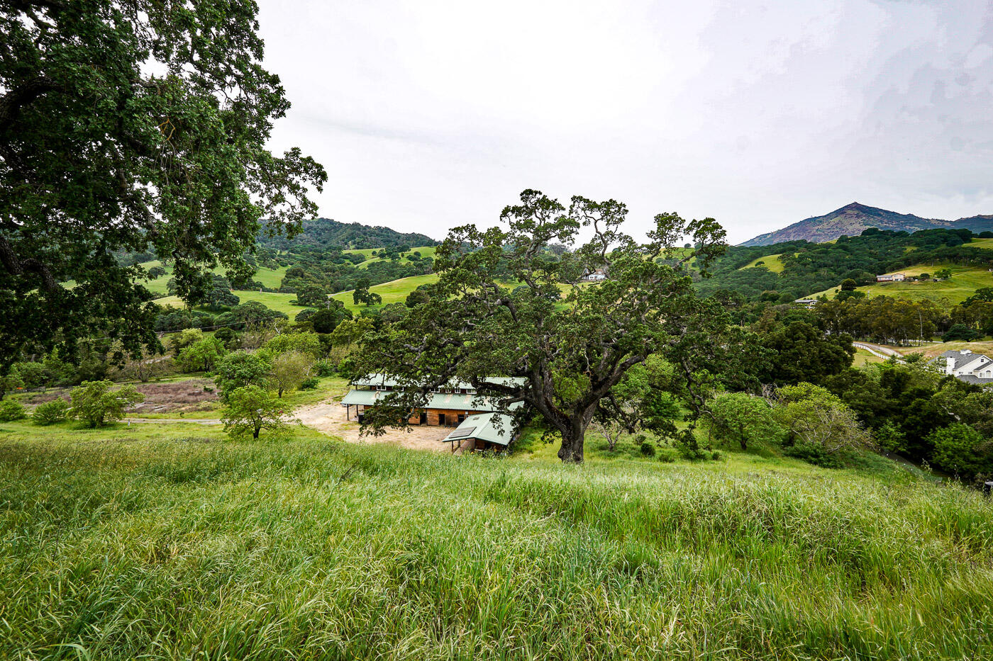 6115 Morgan Territory Road Clayton, CA 94517 - Photo 40 of 76 Morgan Territory Rd (40)