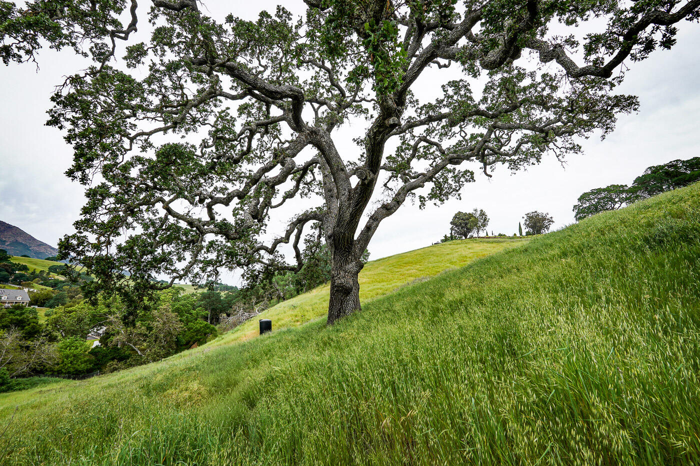 6115 Morgan Territory Road Clayton, CA 94517 - Photo 44 of 76 Morgan Territory Rd (45)