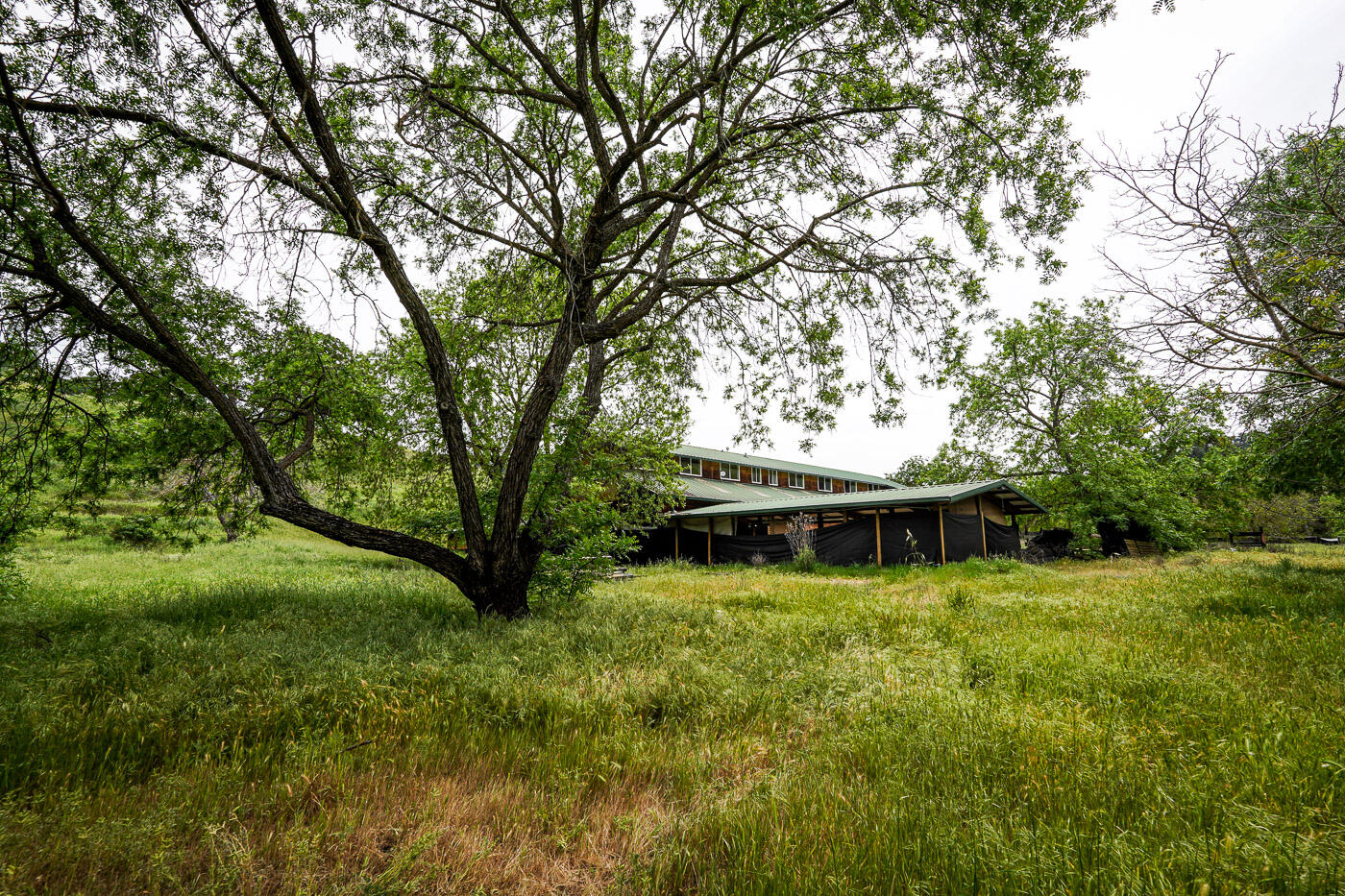 6115 Morgan Territory Road Clayton, CA 94517 - Photo 47 of 76 Morgan Territory Rd (48)