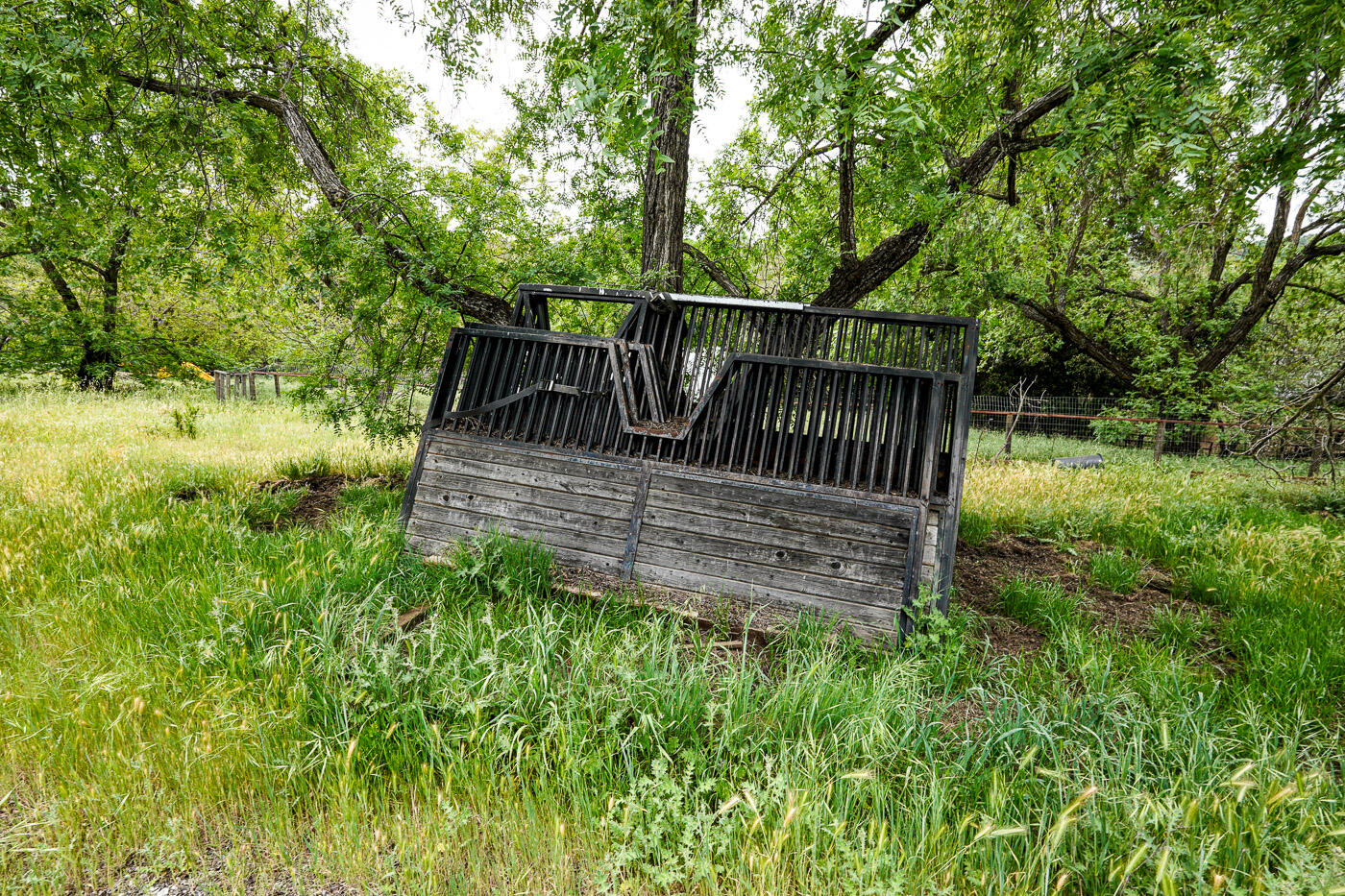 6115 Morgan Territory Road Clayton, CA 94517 - Photo 48 of 76 Morgan Territory Rd (49)