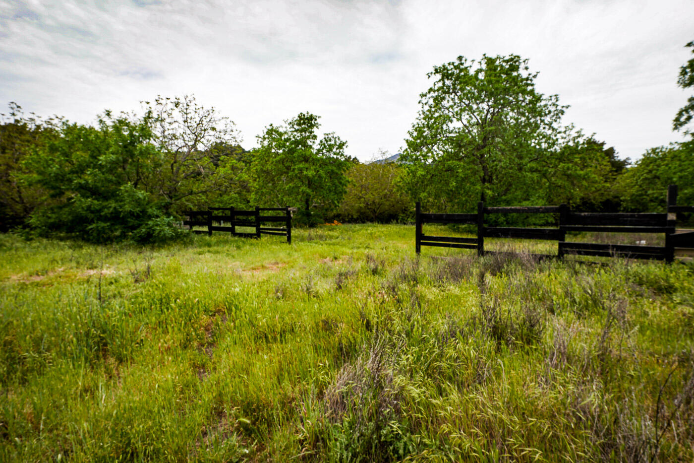 6115 Morgan Territory Road Clayton, CA 94517 - Photo 50 of 76 Morgan Territory Rd (51)