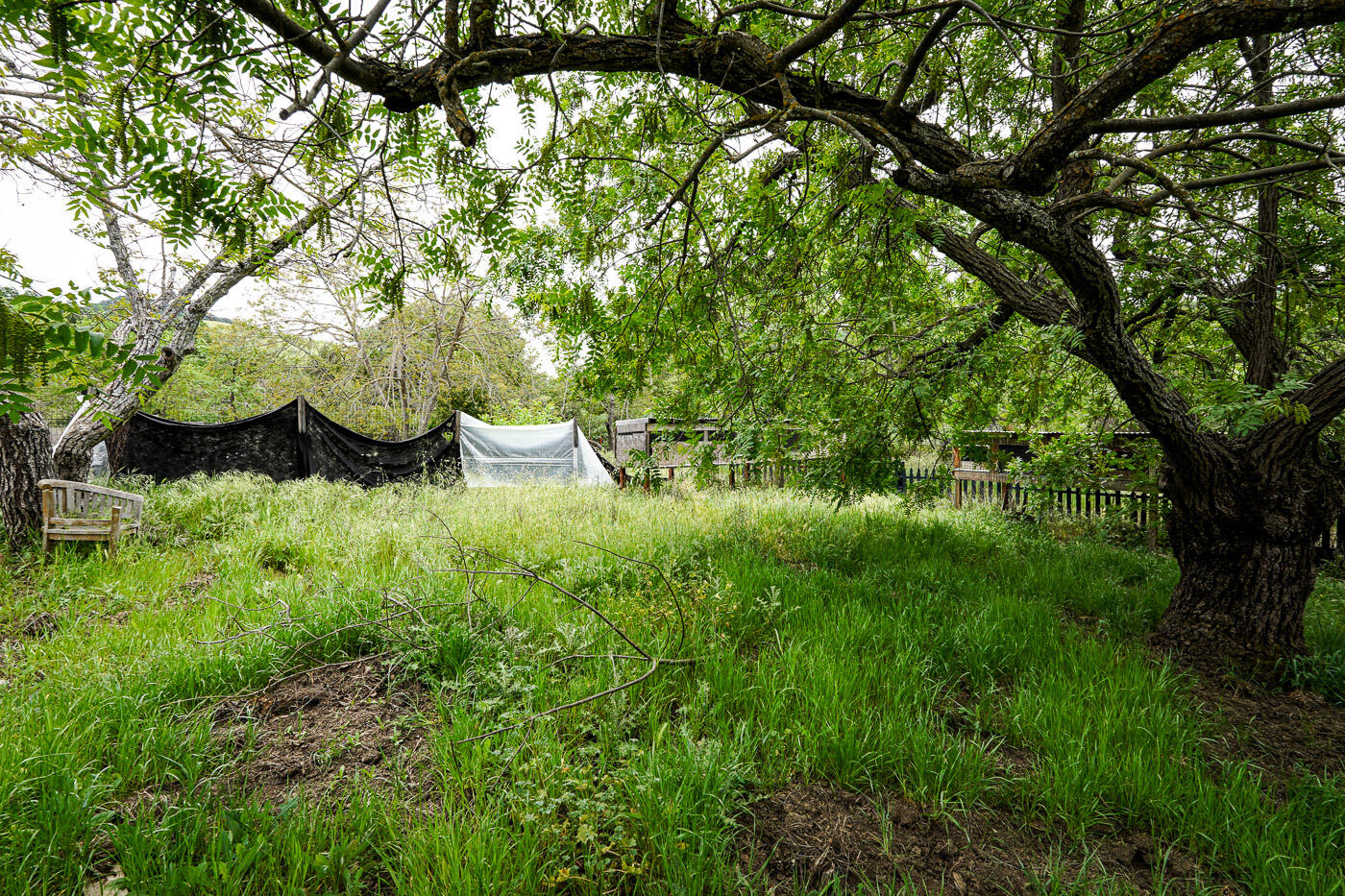 6115 Morgan Territory Road Clayton, CA 94517 - Photo 51 of 76 Morgan Territory Rd (52)