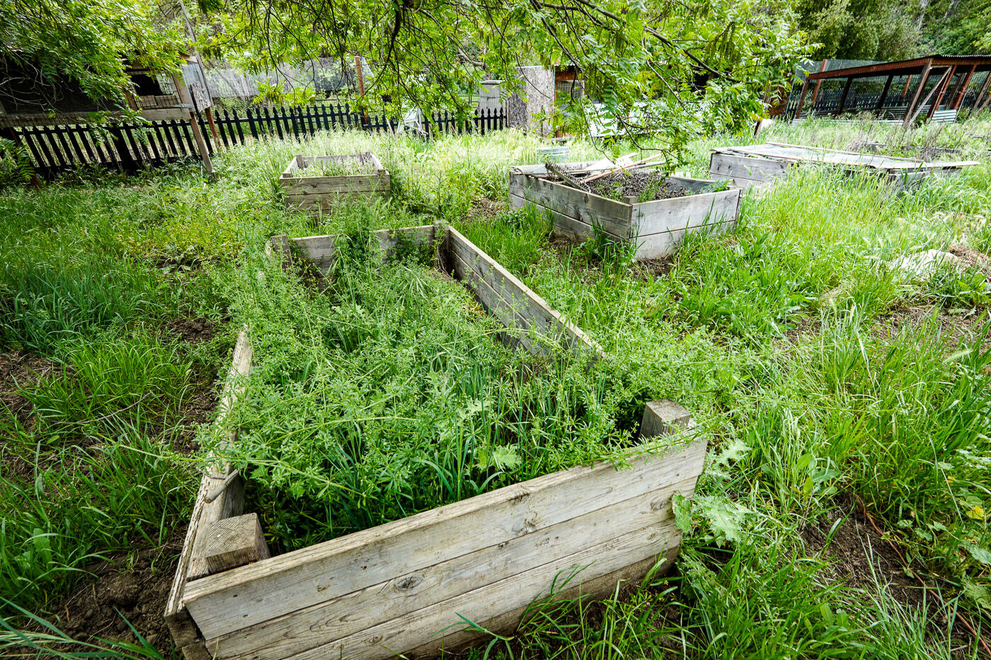 6115 Morgan Territory Road Clayton, CA 94517 - Photo 52 of 76 Morgan Territory Rd (53)