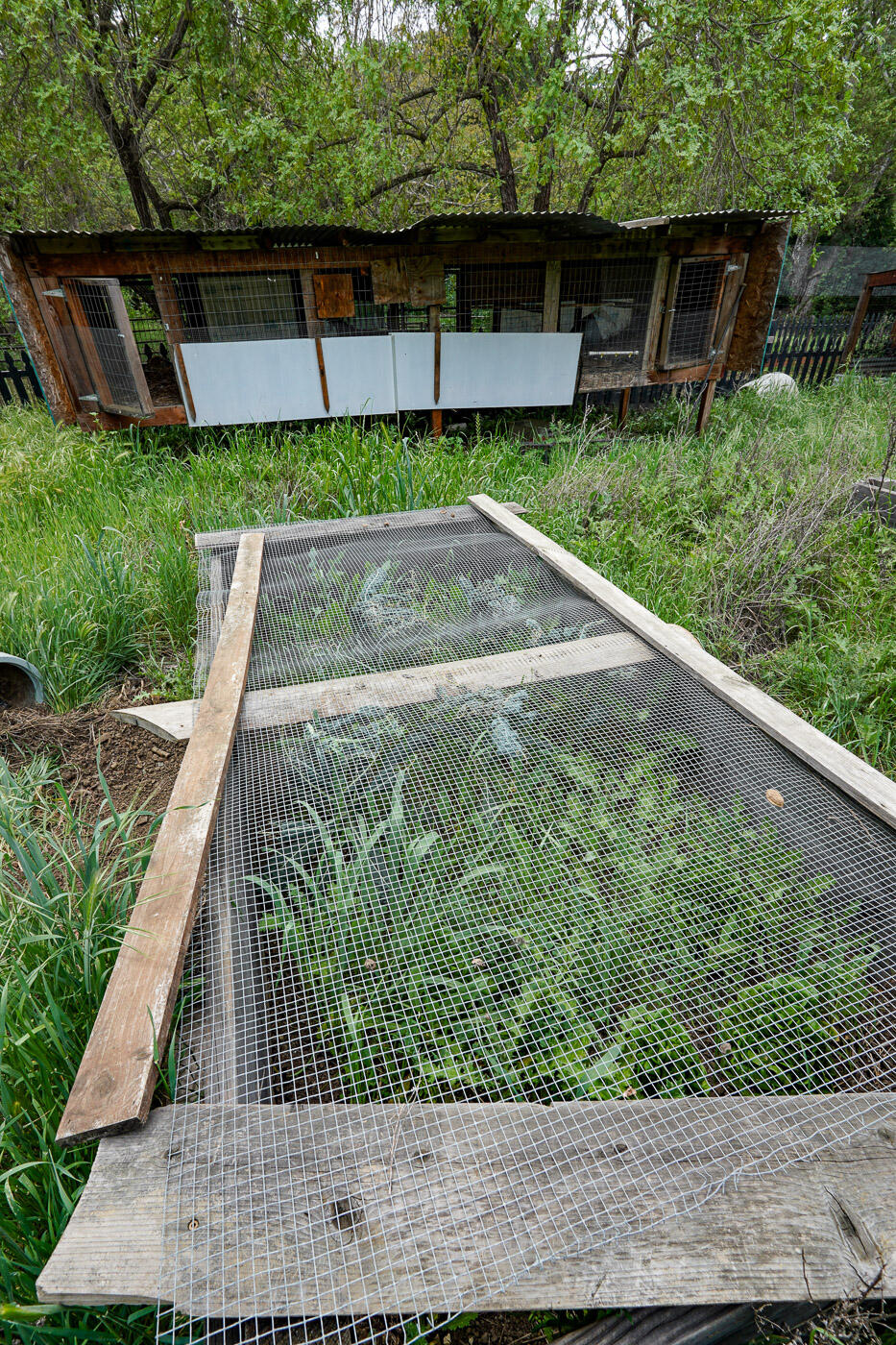 6115 Morgan Territory Road Clayton, CA 94517 - Photo 53 of 76 Morgan Territory Rd (54)