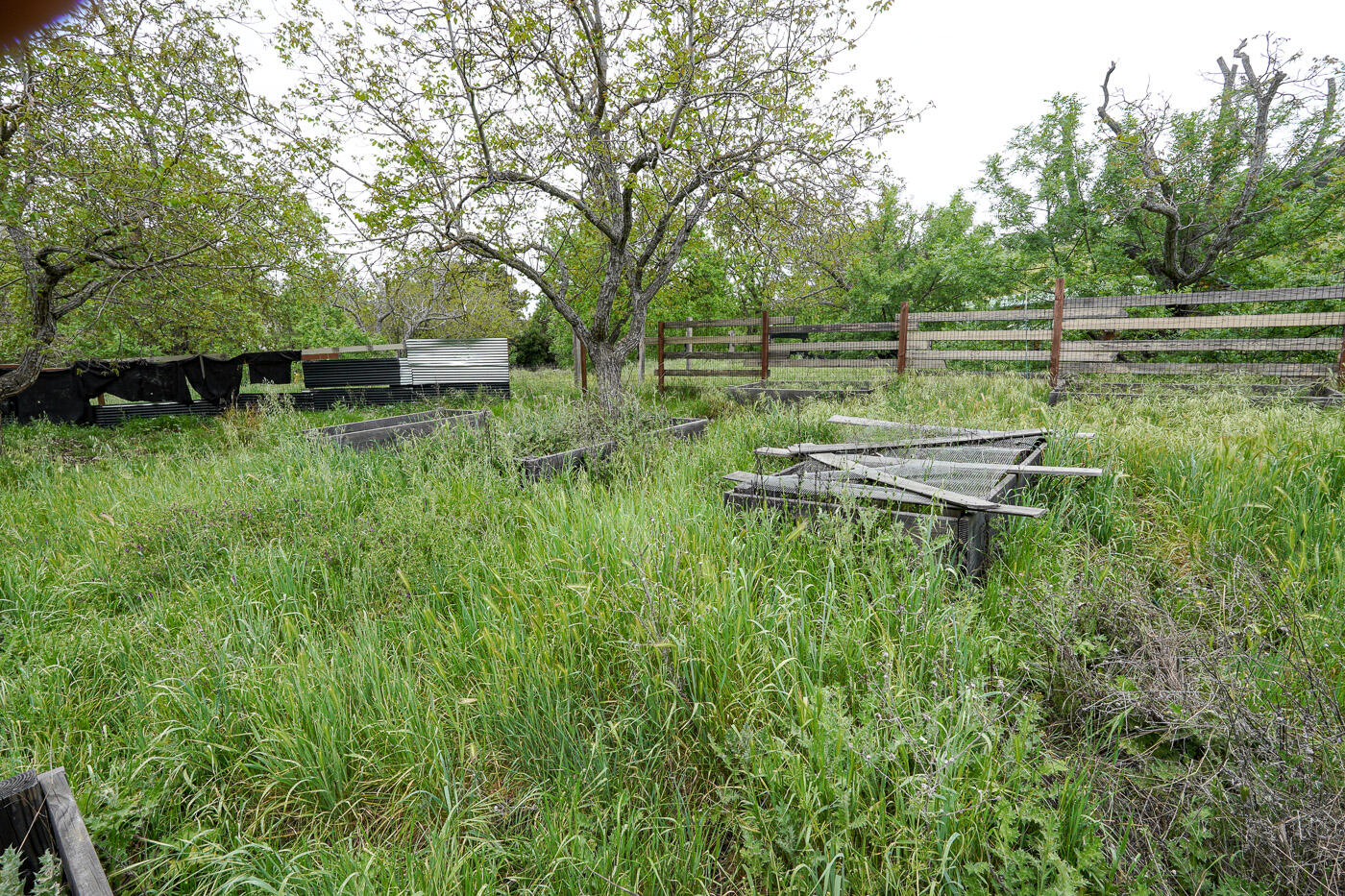 6115 Morgan Territory Road Clayton, CA 94517 - Photo 57 of 76 Morgan Territory Rd (58)