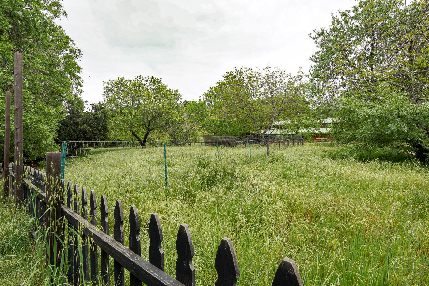 6115 Morgan Territory Road Clayton, CA 94517 - Photo 60 of 76 Morgan Territory Rd (61)