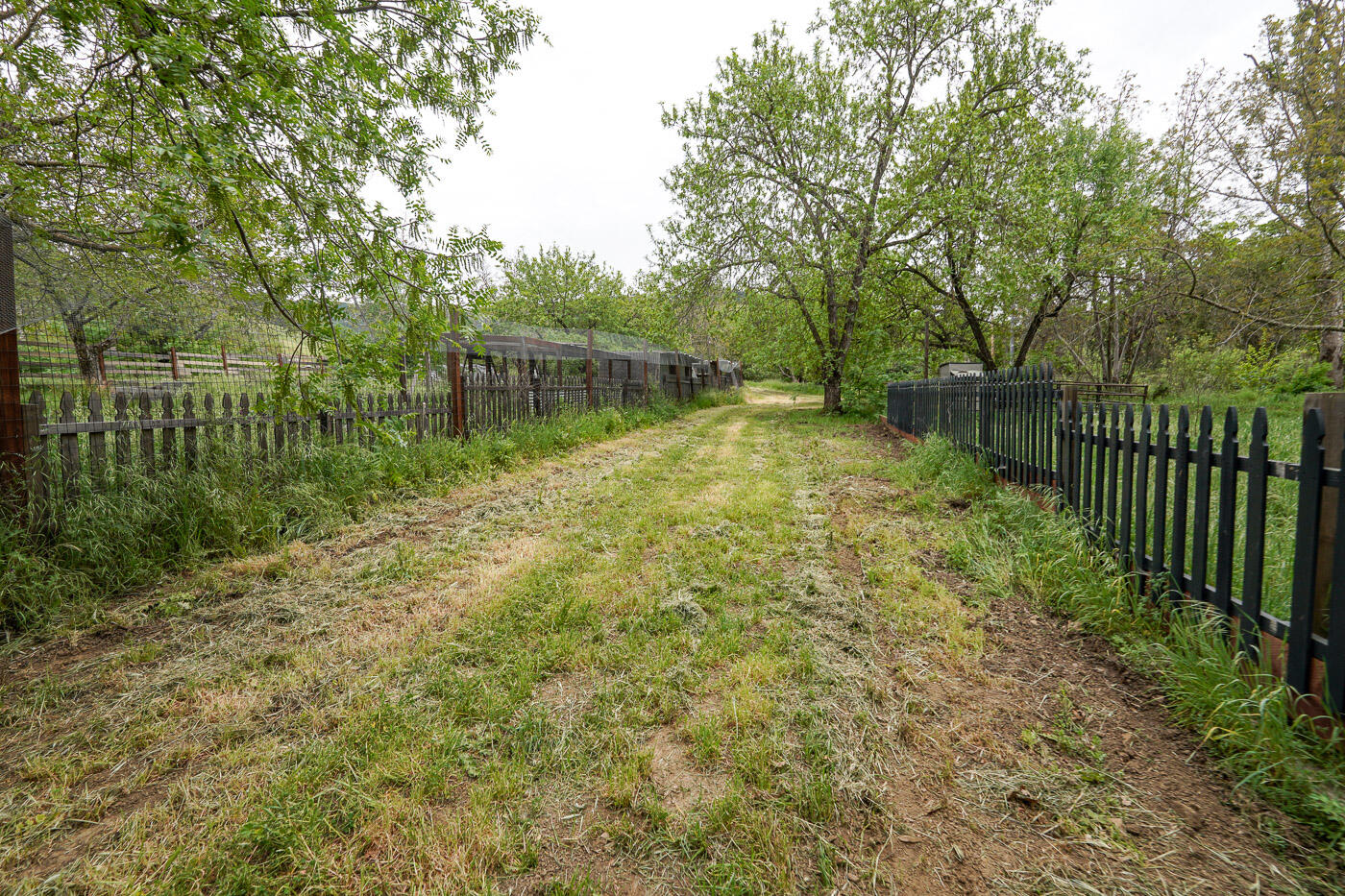 6115 Morgan Territory Road Clayton, CA 94517 - Photo 61 of 76 Morgan Territory Rd (62)