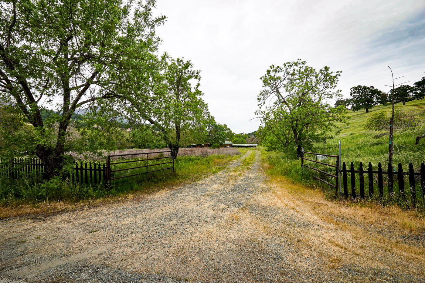6115 Morgan Territory Road Clayton, CA 94517 - Photo 62 of 76 Morgan Territory Rd (63)