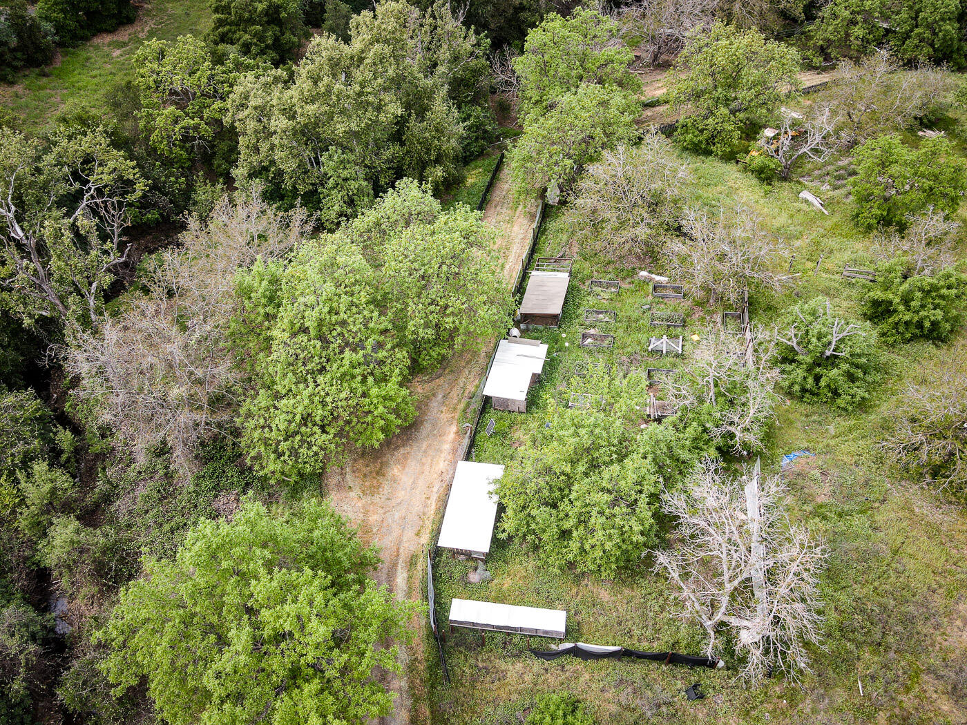 6115 Morgan Territory Road Clayton, CA 94517 - Photo 67 of 76 Morgan Territory Rd (68)