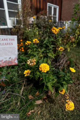 $1,900 | 116 South Union Avenue, Havre de Grace, MD 21078