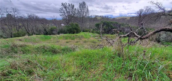 a view of a lush green field